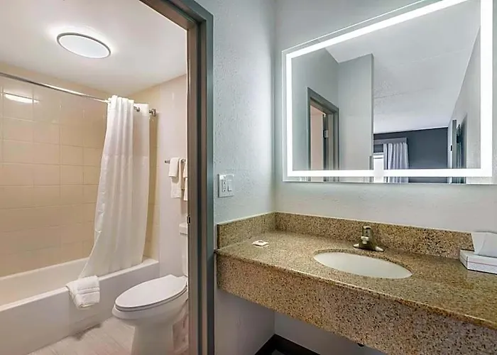 Comfort & - Buffalo Grove Hotel 4*