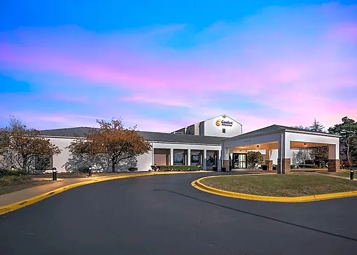 Comfort & - Buffalo Grove Arlington Heights