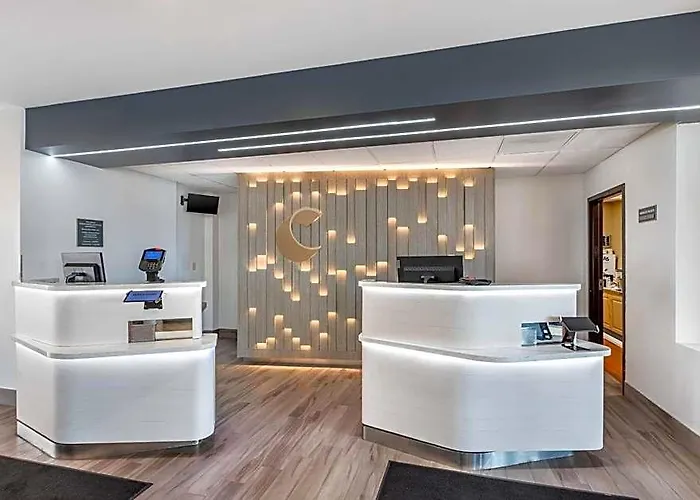 Comfort & - Buffalo Grove Arlington Heights