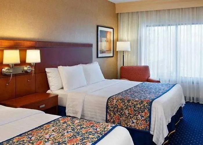 Comfort & - Buffalo Grove Arlington Heights
